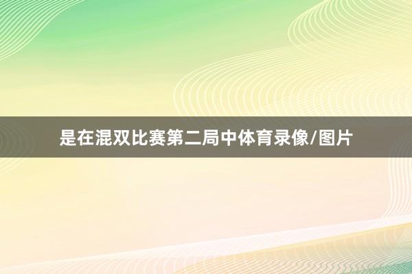 是在混双比赛第二局中体育录像/图片
