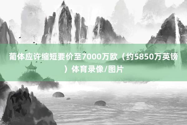 葡体应许缩短要价至7000万欧（约5850万英镑）体育录像/
