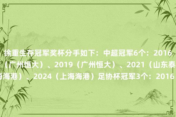 徐重生存冠军奖杯分手如下：中超冠军6个：2016（广州恒大）、2017（广州恒大）、2019（广州恒大）、2021（山东泰山）、2023（上海海港）、2024（上海海港）足协杯冠军3个：2016（广州恒大）、2021（山东泰山）、2024（上海海港）超等杯冠军1个：2018（广州恒大）（注：德转页面暂未更新2024年足协杯冠军奖杯）体育集锦