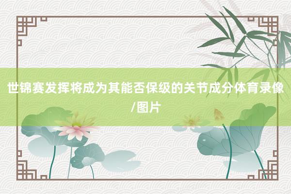 世锦赛发挥将成为其能否保级的关节成分体育录像/图片