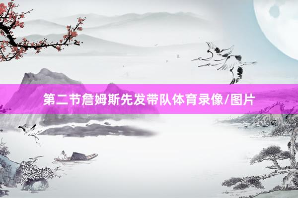 第二节詹姆斯先发带队体育录像/图片