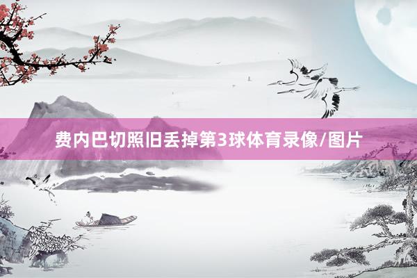 费内巴切照旧丢掉第3球体育录像/图片