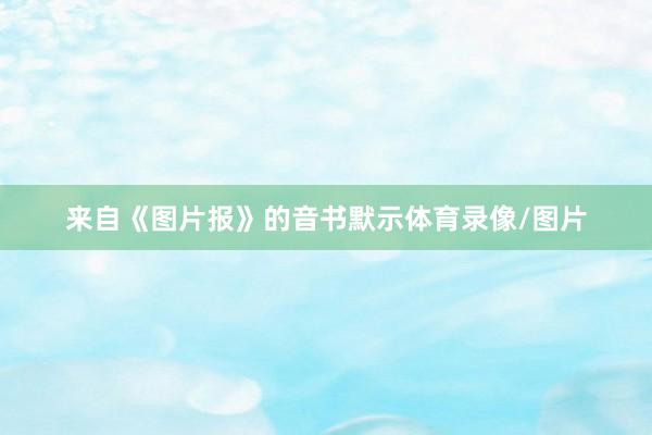 来自《图片报》的音书默示体育录像/图片