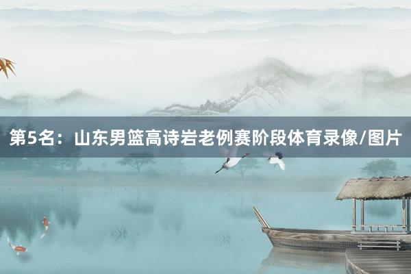 第5名：山东男篮高诗岩老例赛阶段体育录像/图片