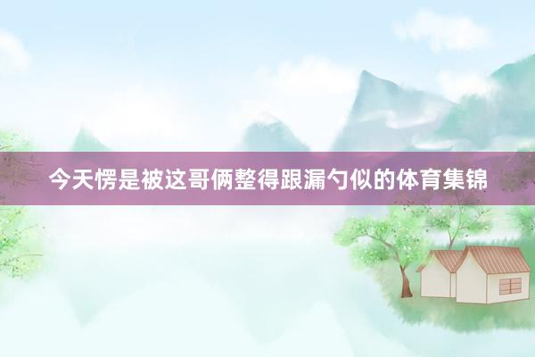今天愣是被这哥俩整得跟漏勺似的体育集锦