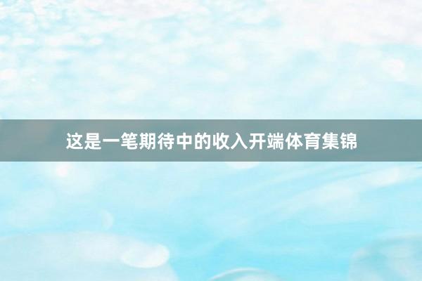 这是一笔期待中的收入开端体育集锦
