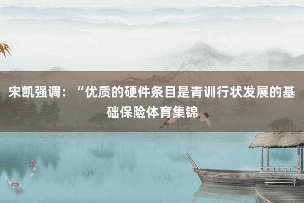 宋凯强调：“优质的硬件条目是青训行状发展的基础保险体育集锦