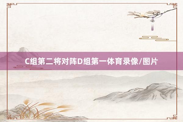 C组第二将对阵D组第一体育录像/图片