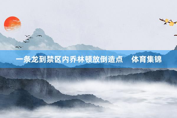 一条龙到禁区内乔林顿放倒造点    体育集锦