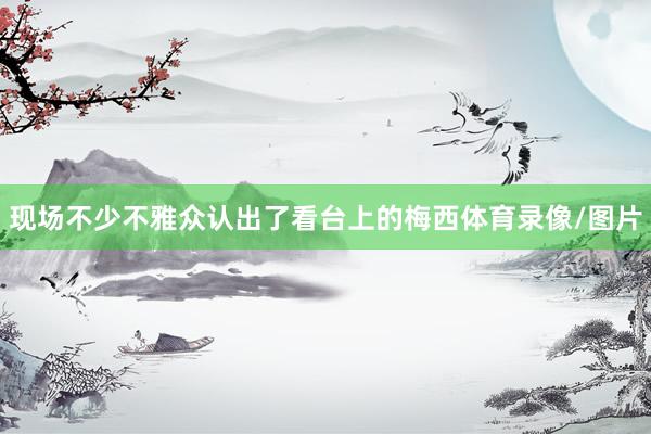 现场不少不雅众认出了看台上的梅西体育录像/图片