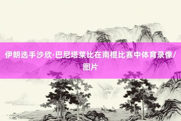 伊朗选手沙欣·巴尼塔莱比在南棍比赛中体育录像/图片