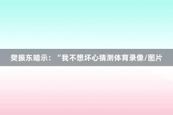 樊振东暗示：“我不想坏心猜测体育录像/图片