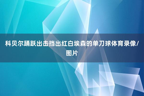 科贝尔踊跃出击挡出红白埃森的单刀球体育录像/图片