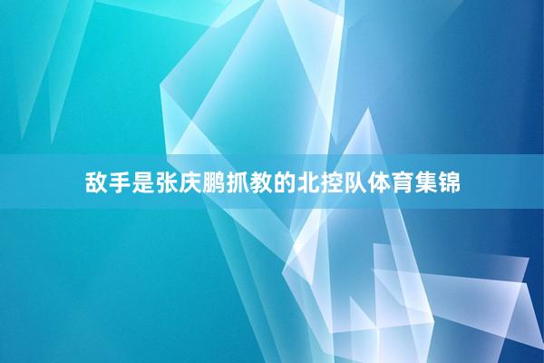 敌手是张庆鹏抓教的北控队体育集锦