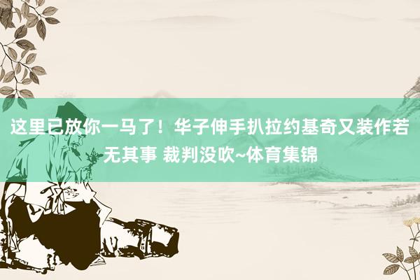 这里已放你一马了！华子伸手扒拉约基奇又装作若无其事 裁判没吹~体育集锦