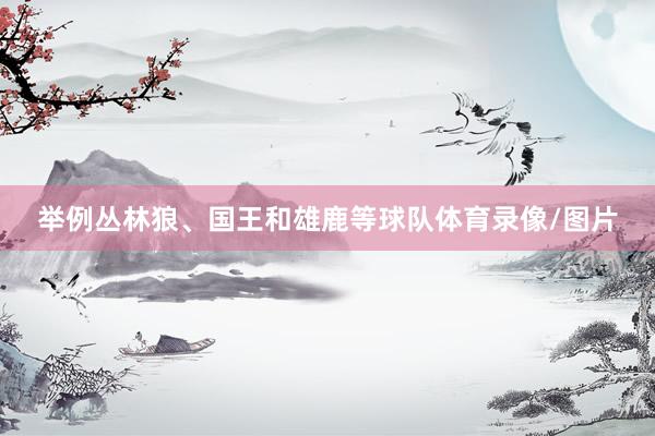 举例丛林狼、国王和雄鹿等球队体育录像/图片