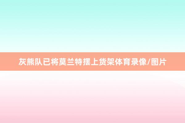 灰熊队已将莫兰特摆上货架体育录像/图片
