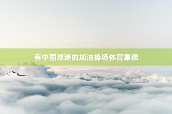 有中国球迷的加油捧场体育集锦