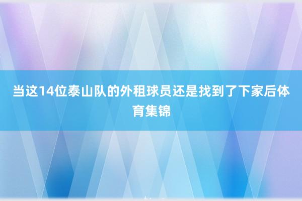 当这14位泰山队的外租球员还是找到了下家后体育集锦