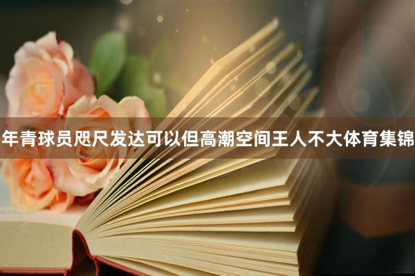 年青球员咫尺发达可以但高潮空间王人不大体育集锦