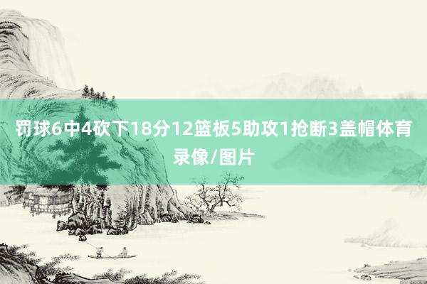 罚球6中4砍下18分12篮板5助攻1抢断3盖帽体育录像/图片