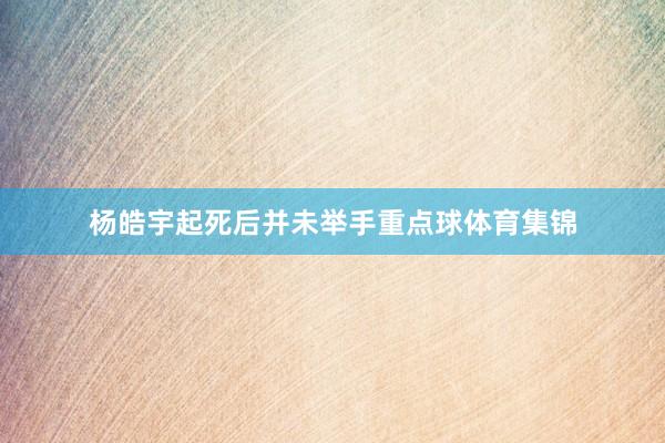 杨皓宇起死后并未举手重点球体育集锦