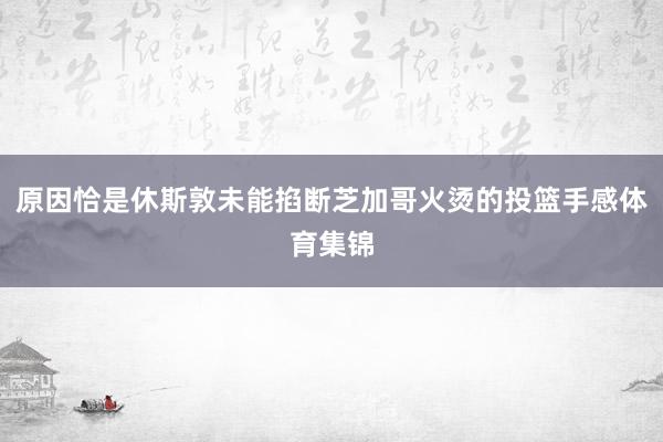 原因恰是休斯敦未能掐断芝加哥火烫的投篮手感体育集锦