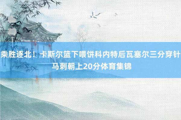 乘胜逐北！卡斯尔篮下喂饼科内特后瓦塞尔三分穿针 马刺朝上20分体育集锦